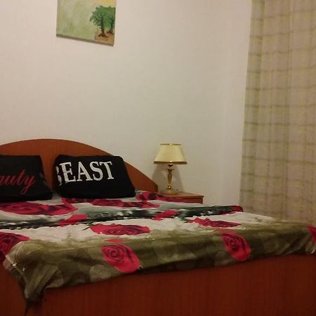Apartmán Studio Andreea Bukurešť Exteriér fotografie